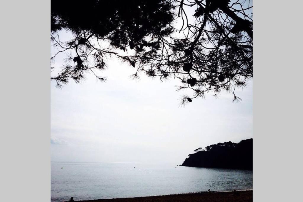Villa Casita Blanca Con Fibra Optica Y Piscina Cominutaria Tossa de Mar Esterno foto