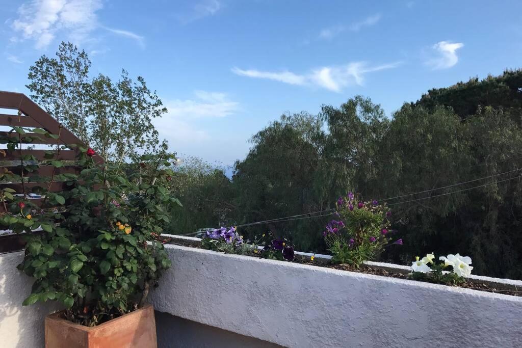 Villa Casita Blanca Con Fibra Optica Y Piscina Cominutaria Tossa de Mar Esterno foto